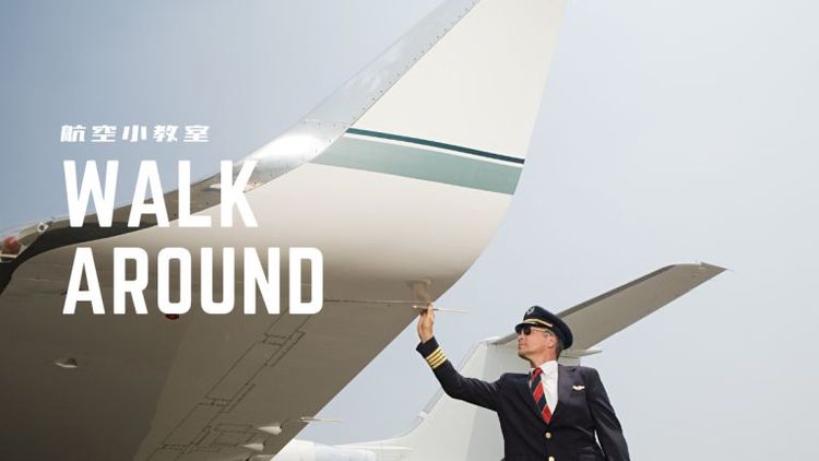 航空小教室 - Walkaround